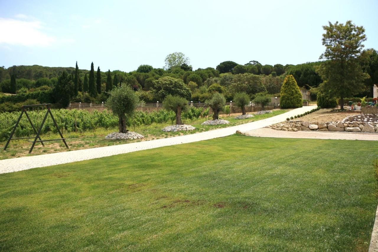 Quinta Da Chapeleira Em Azeitao Villa ภายนอก รูปภาพ