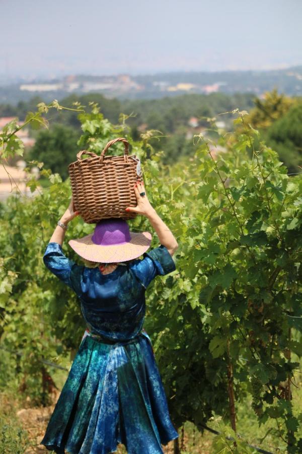 Quinta Da Chapeleira Em Azeitao Villa ภายนอก รูปภาพ