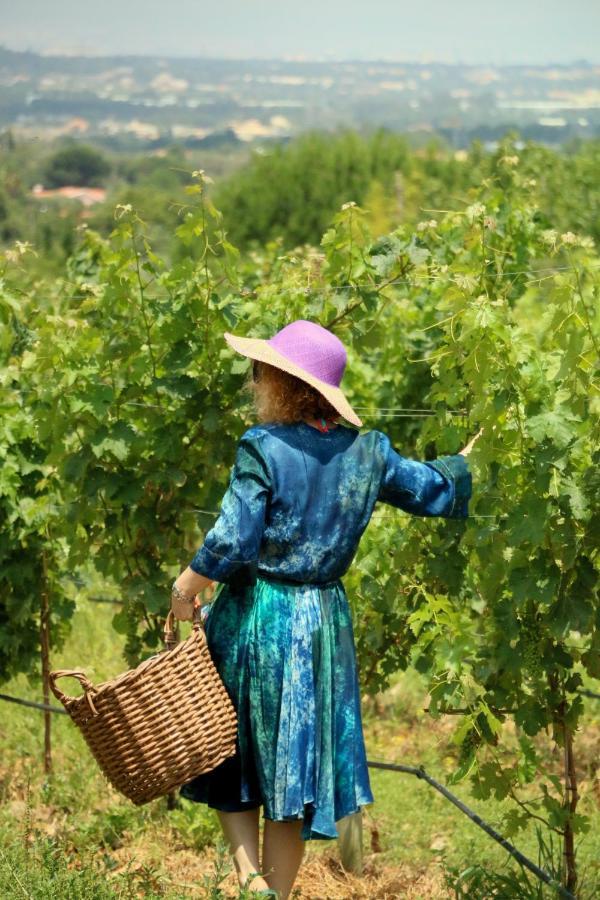 Quinta Da Chapeleira Em Azeitao Villa ภายนอก รูปภาพ
